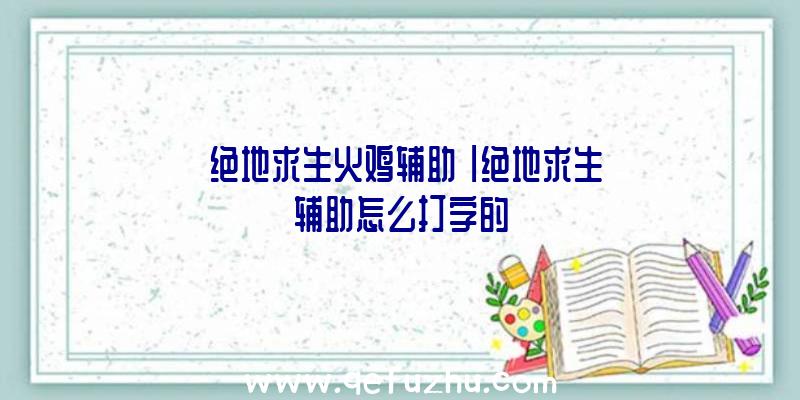 「绝地求生火鸡辅助」|绝地求生辅助怎么打字的